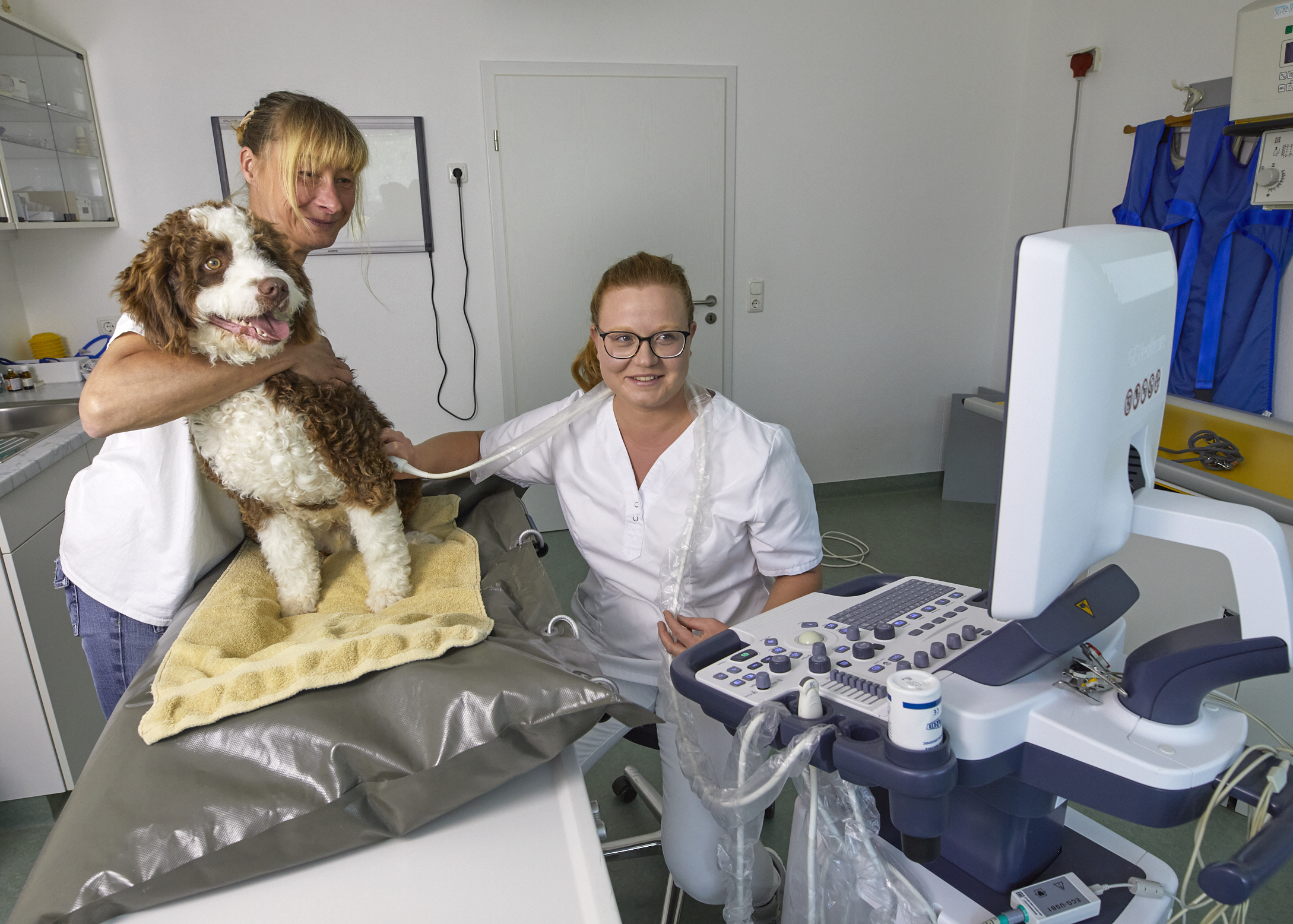 Ultraschall bei einem Hund in der Tierarztpraxis Dr. Gerhard Heim in Scheinfeld