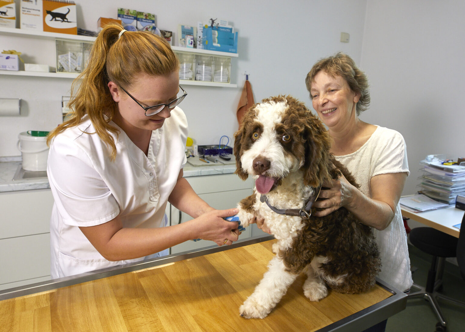 Kleintiere - Tierarztpraxis Dr. Gerhard Heim